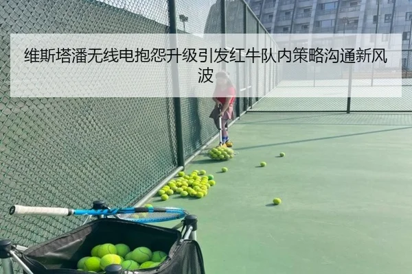 维斯塔潘无线电抱怨升级引发红牛队内策略沟通新风波
